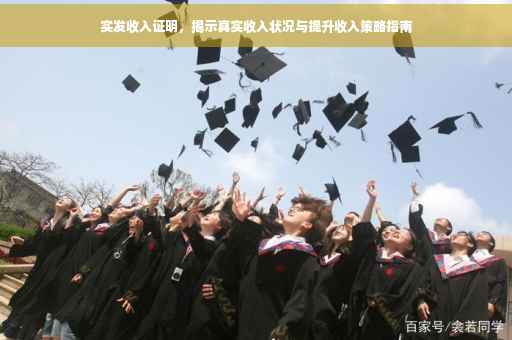 实发收入证明，揭示真实收入状况与提升收入策略指南