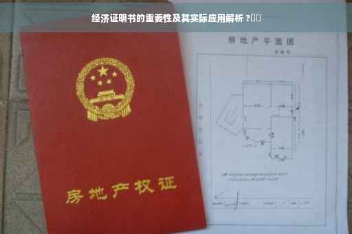 经济证明书的重要性及其实际应用解析 ?⚡️