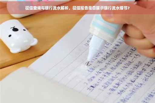 征信查询与银行流水解析，征信报告是否展示银行流水细节？