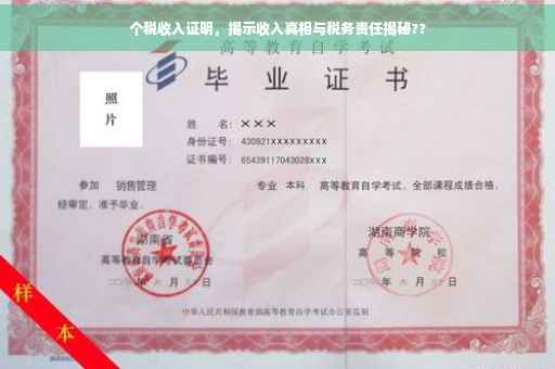 个税收入证明，揭示收入真相与税务责任揭秘??