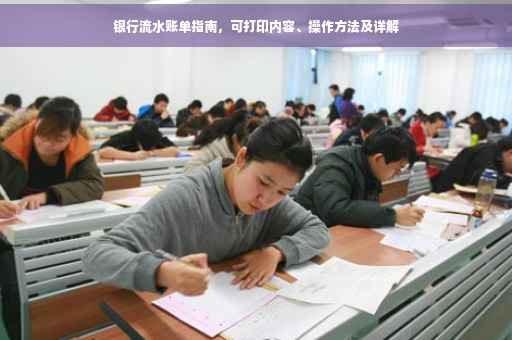 银行流水账单指南，可打印内容、操作方法及详解