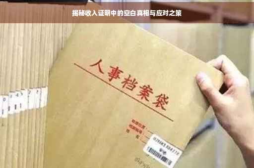 揭秘收入证明中的空白真相与应对之策