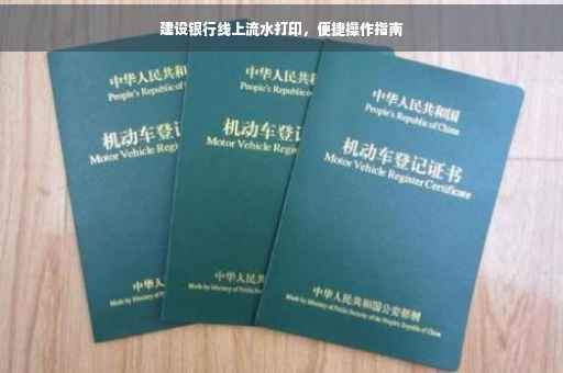 建设银行线上流水打印，便捷操作指南