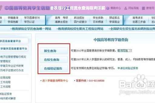 秦农银行工资流水查询指南详解