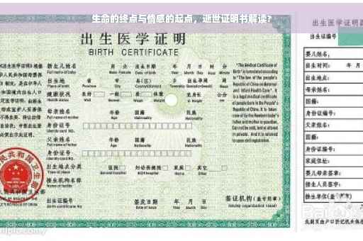 生命的终点与情感的起点，逝世证明书解读?