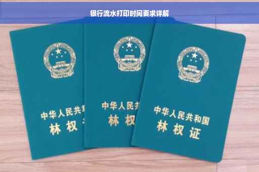 银行流水打印时间要求详解