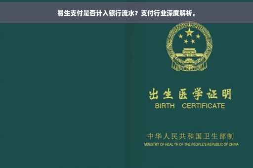 易生支付是否计入银行流水？支付行业深度解析。