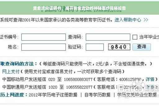 资金流向证明书，揭开资金流动的神秘面纱揭秘报告