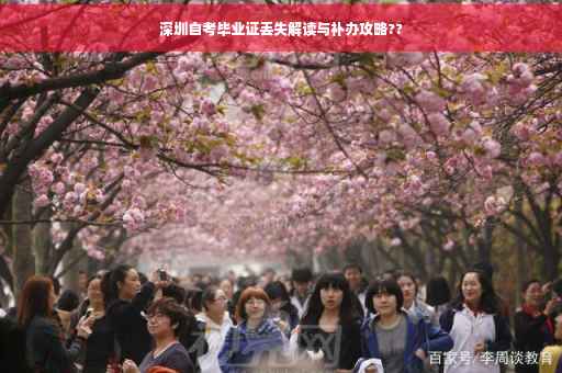 深圳自考毕业证丢失解读与补办攻略??