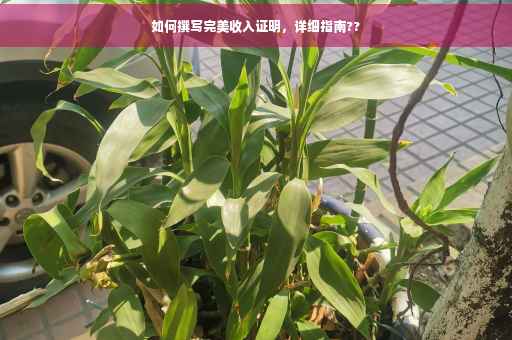 如何撰写完美收入证明，详细指南??
