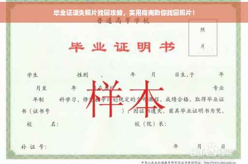 毕业证遗失照片找回攻略，实用指南助你找回照片！
