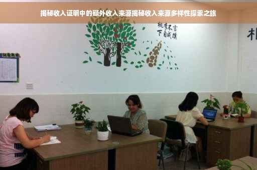 揭秘收入证明中的额外收入来源揭秘收入来源多样性探索之旅