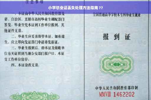 小学毕业证丢失处理方法指南 ??