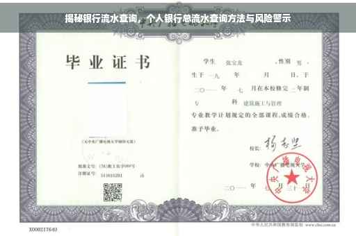 揭秘银行流水查询，个人银行总流水查询方法与风险警示