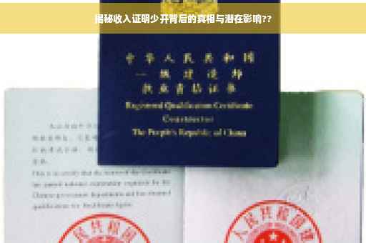 揭秘收入证明少开背后的真相与潜在影响??