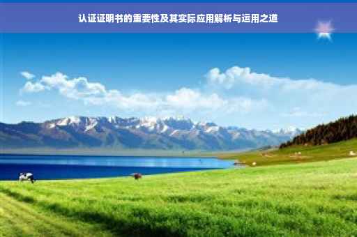 认证证明书的重要性及其实际应用解析与运用之道