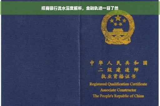 招商银行流水深度解析，金融轨迹一目了然
