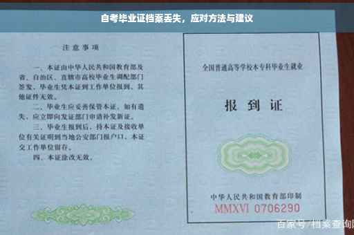自考毕业证档案丢失，应对方法与建议