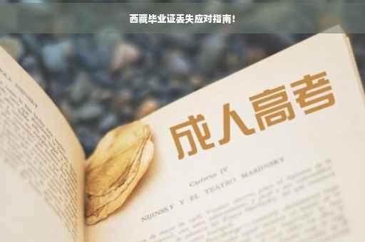 西藏毕业证丢失应对指南！