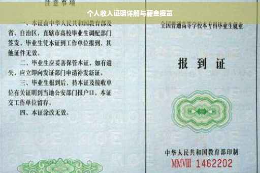 个人收入证明详解与薪金概览