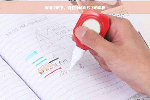 缅甸证明书，揭开神秘面纱下的真相