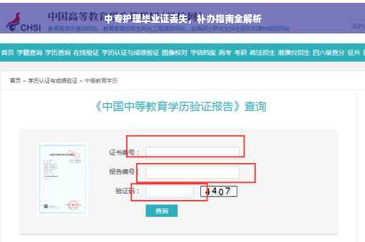 中专护理毕业证丢失，补办指南全解析