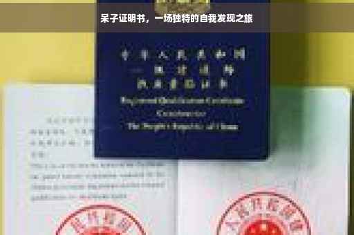 呆子证明书，一场独特的自我发现之旅