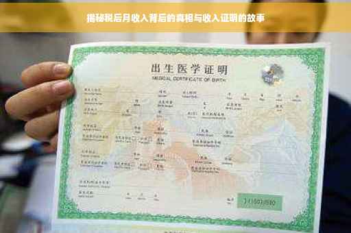 揭秘税后月收入背后的真相与收入证明的故事