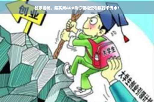 独家揭秘，超实用APP助你轻松查看银行卡流水！