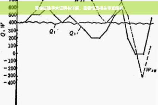 智齿拔除手术证明书详解，重要性及相关事宜解析