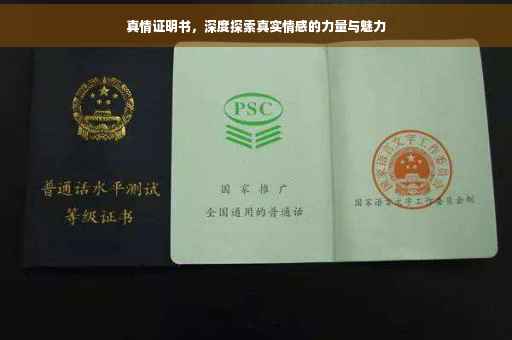真情证明书，深度探索真实情感的力量与魅力
