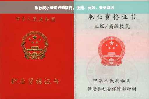 银行流水查询必备软件，便捷、高效、安全首选