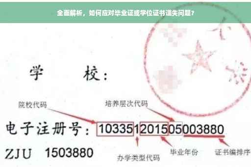 全面解析，如何应对毕业证或学位证书遗失问题？