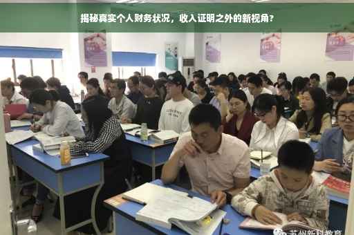 揭秘真实个人财务状况，收入证明之外的新视角?