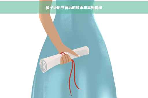 箱子证明书背后的故事与真相揭秘