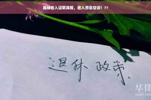 揭秘收入证明真相，收入并非空谈！??