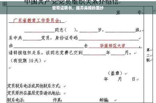 官司证明书，揭开真相的面纱