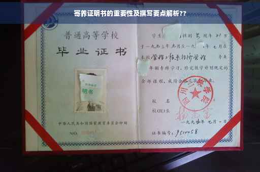 寄养证明书的重要性及撰写要点解析??