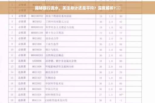 揭秘银行流水，关注总计还是平均？深度解析?⚡️