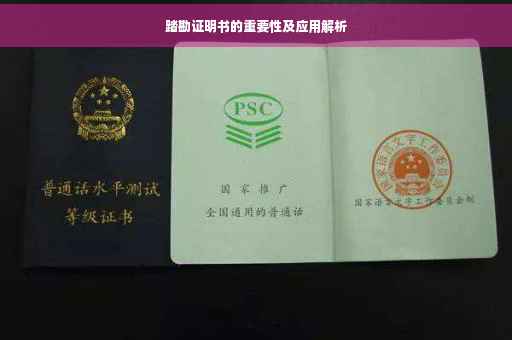 踏勘证明书的重要性及应用解析