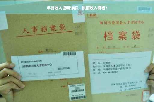 年终收入证明详解，税前收入概览?