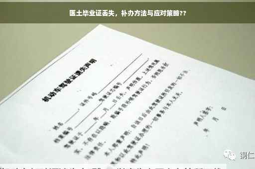 医土毕业证丢失，补办方法与应对策略??
