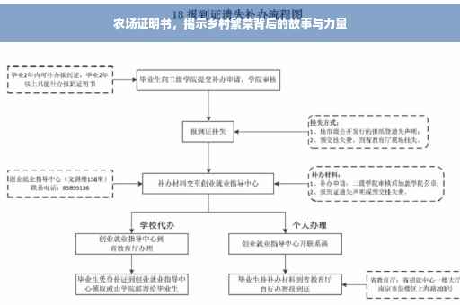 农场证明书，揭示乡村繁荣背后的故事与力量