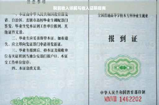 税前收入详解与收入证明指南