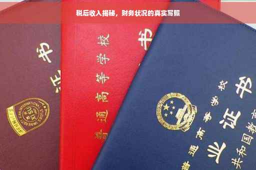 税后收入揭秘，财务状况的真实写照