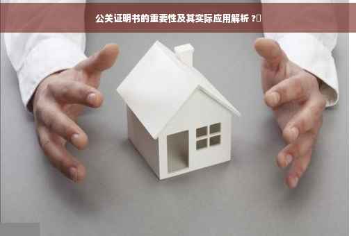 公关证明书的重要性及其实际应用解析 ?✨