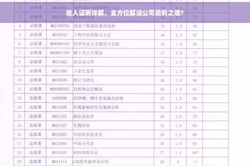 收入证明详解，全方位解读公司盈利之道?