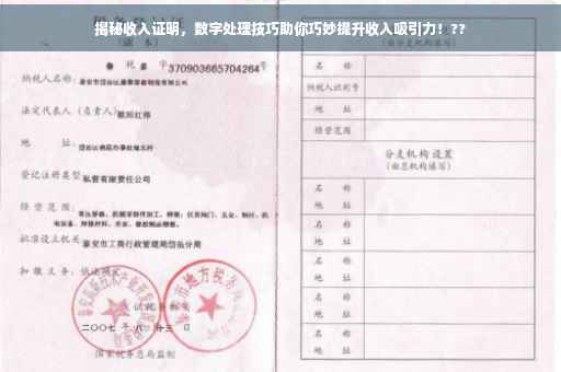 揭秘收入证明，数字处理技巧助你巧妙提升收入吸引力！??