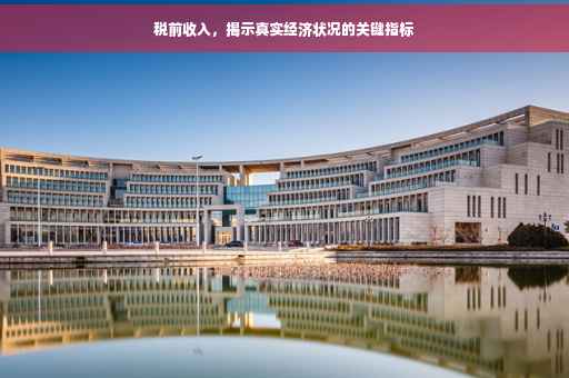 税前收入，揭示真实经济状况的关键指标