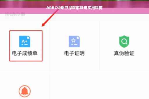 ABBC证明书深度解析与实用指南